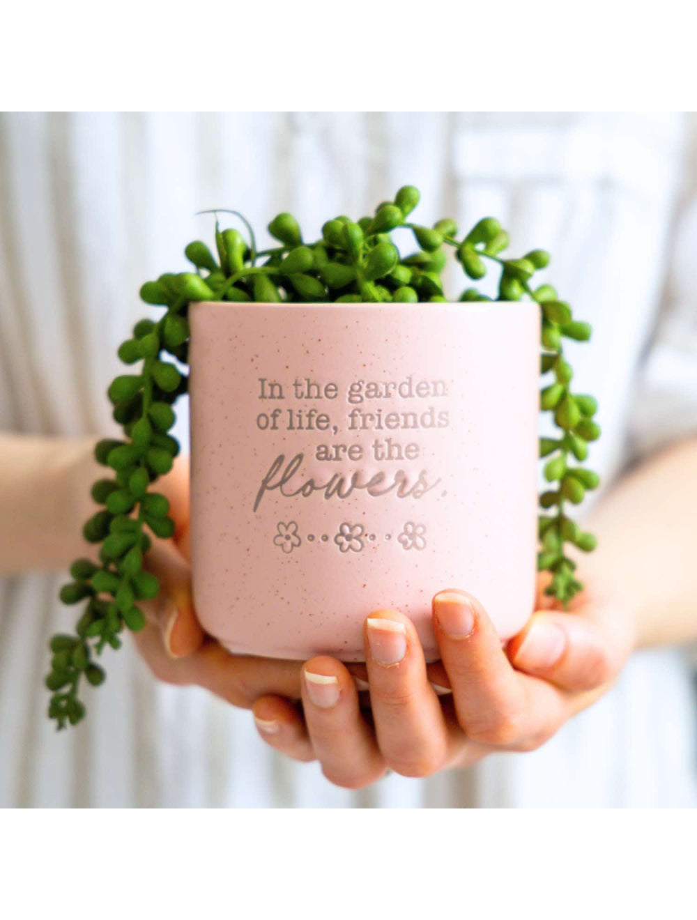 Friends Positive Pot