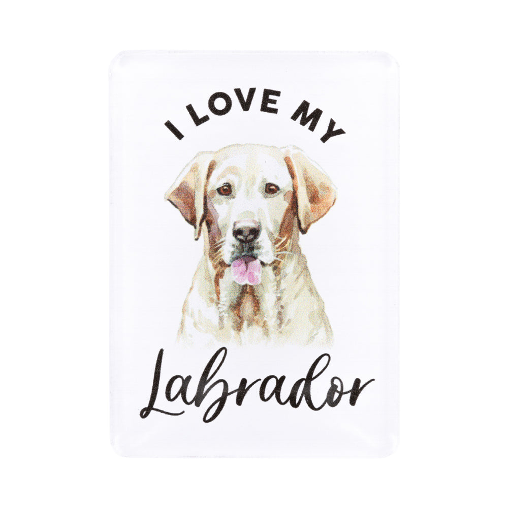 Labrador Acrylic Magnet
