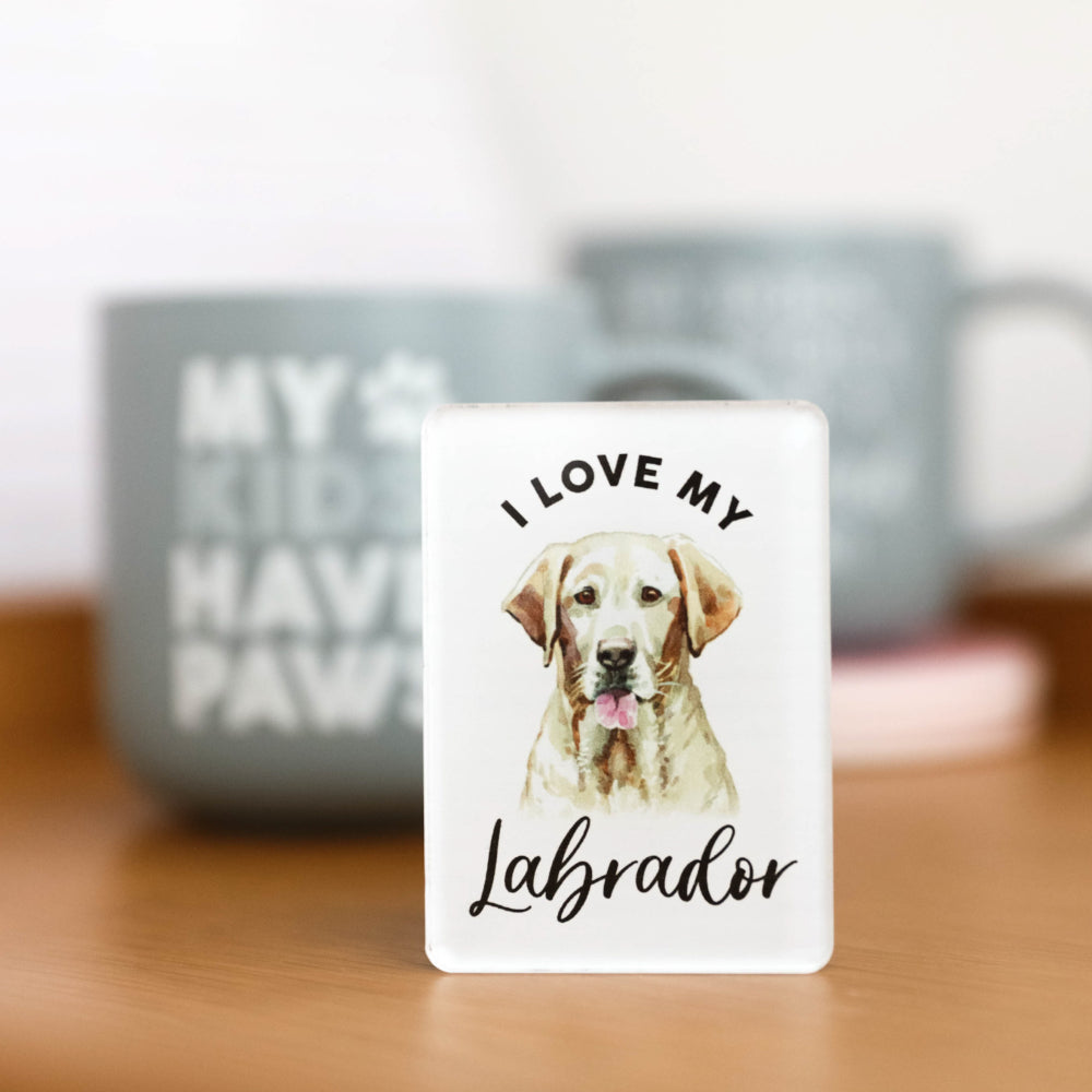 Labrador Acrylic Magnet