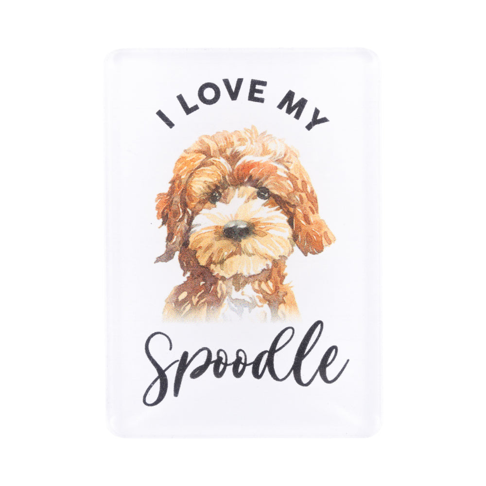 Spoodle Acrylic Magnet