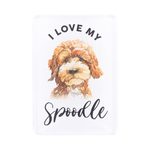 Spoodle Acrylic Magnet