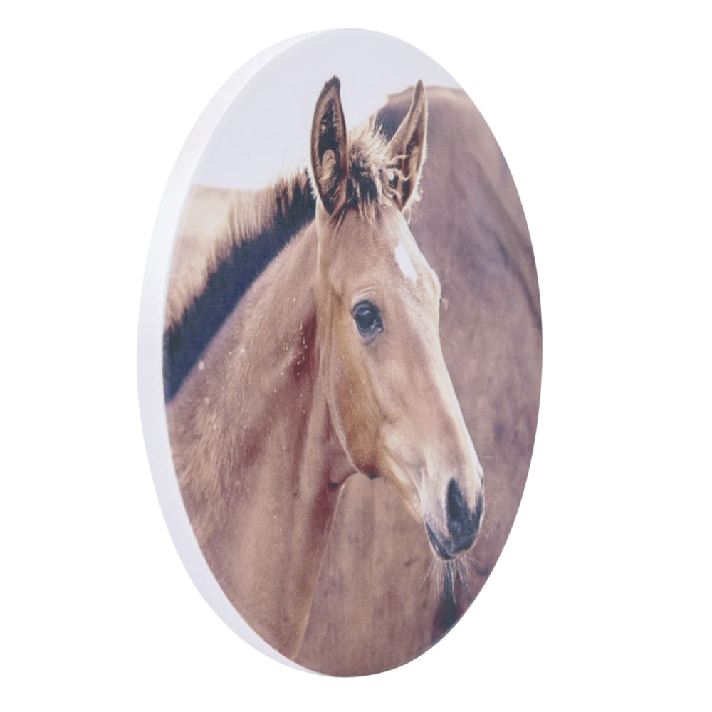 Rustic Meadow Foal Ceramic Coaster