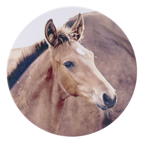 Rustic Meadow Foal Ceramic Coaster