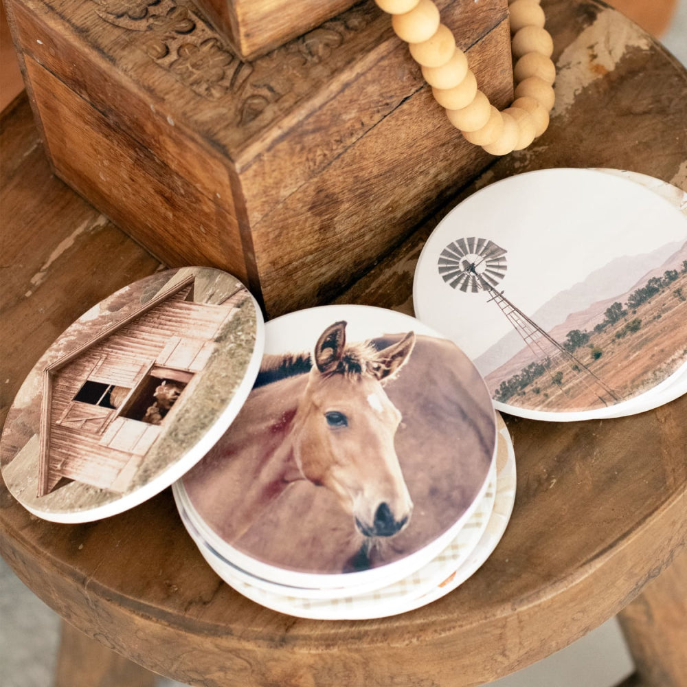 Rustic Meadow Foal Ceramic Coaster
