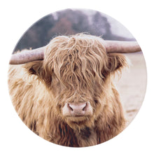 Load image into Gallery viewer, Rustic Meadow Cow Ceramic Coaster