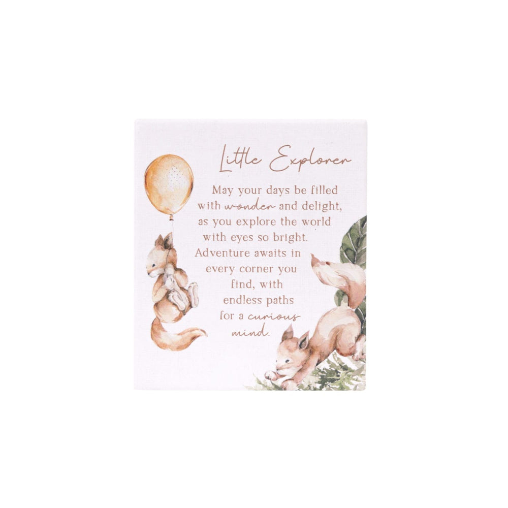 Tiny Wonders Explorer Verse