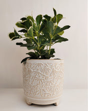 Load image into Gallery viewer, Maeve Floral Planter Snow Med 14cm