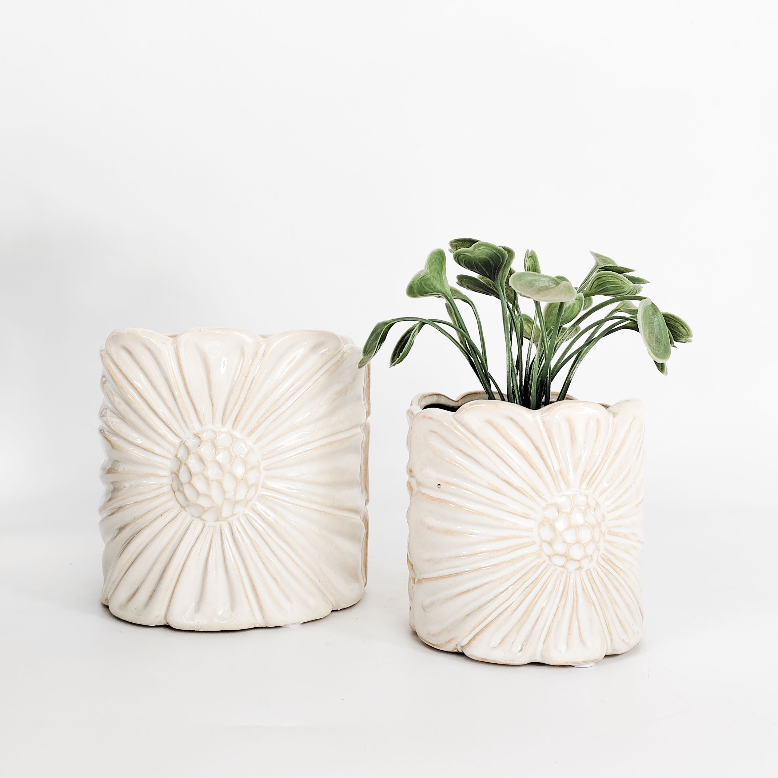 Daisy Planter Assorted Sizes
