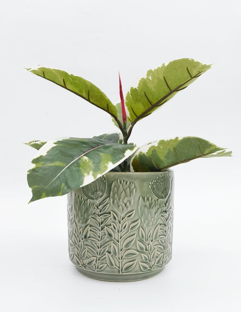 Protea Planter Sage 17cm