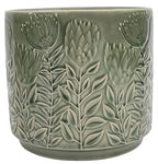 Protea Planter Sage 17cm