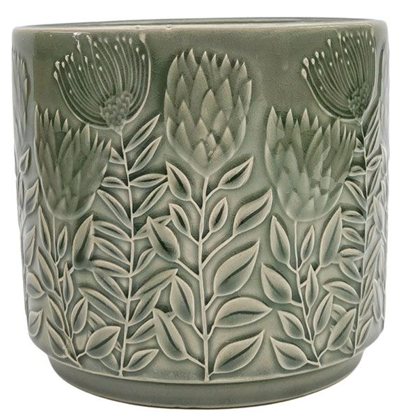 Protea Planter Sage 17cm