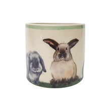 Load image into Gallery viewer, Bunny Planter Brown 12cm