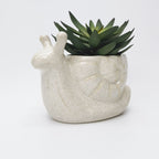 Snail Planter Speckle White 15cm