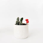 Toadstool Planter White 11cm