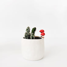 Load image into Gallery viewer, Toadstool Planter White 11cm