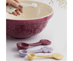 Mason Cash Meadow Measuring Spoons S/4