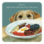 Assorted 'Little Dog Laughed' Drink Coasters