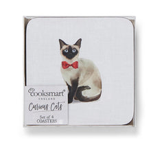 Load image into Gallery viewer, Curious Cats Coasters