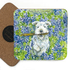 Assorted 'Little Dog Laughed' Drink Coasters