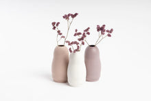 Load image into Gallery viewer, Blush Pink Harmie Leo Vase