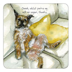 Assorted 'Little Dog Laughed' Drink Coasters