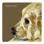 Assorted 'Little Dog Laughed' Drink Coasters