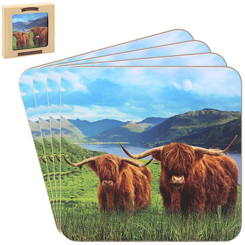 Highland Cow Coasters