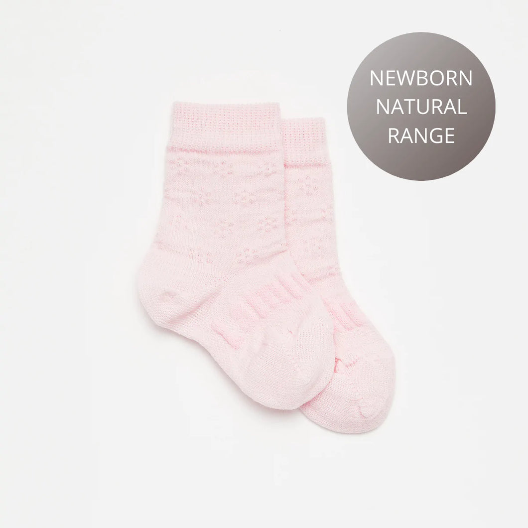 Lamington Baby Crew Socks Dahlia