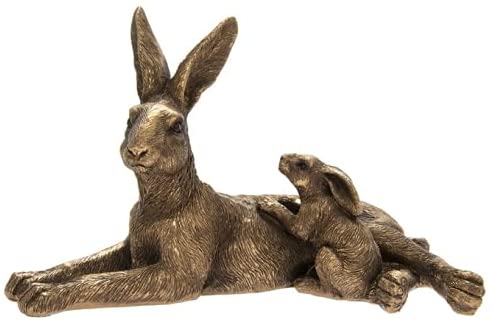 Bronzed Hare Laying with Young