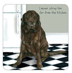 Assorted 'Little Dog Laughed' Drink Coasters