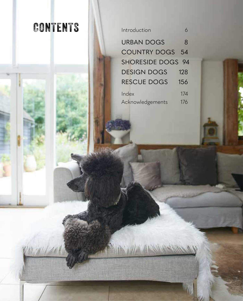Cool Dogs, Cool Homes: Living in style with your dog