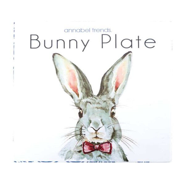 Blue Bunny Ceramic Plate