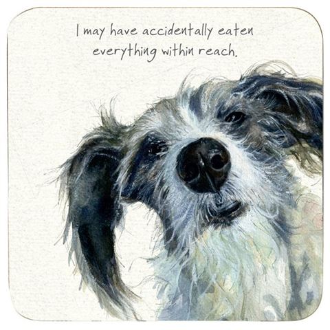 Assorted 'Little Dog Laughed' Drink Coasters