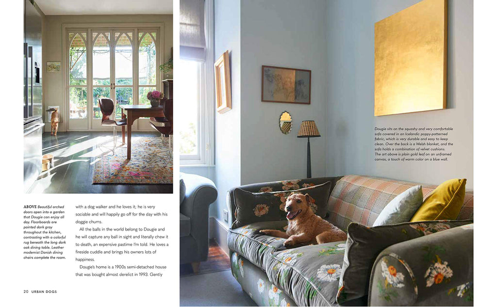 Cool Dogs, Cool Homes: Living in style with your dog