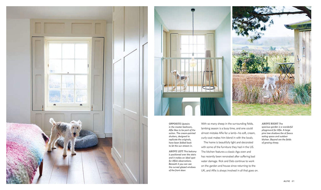 Cool Dogs, Cool Homes: Living in style with your dog