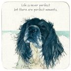 Assorted 'Little Dog Laughed' Drink Coasters