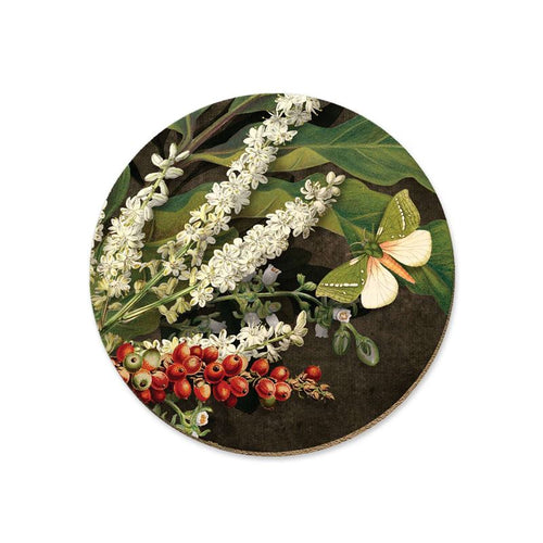 Nikau Berries Kohekhohe Ti Kouka Coaster