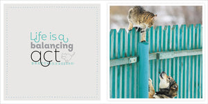 Catitude Book