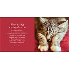 Load image into Gallery viewer, The Great Catsby