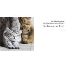 Load image into Gallery viewer, The Great Catsby