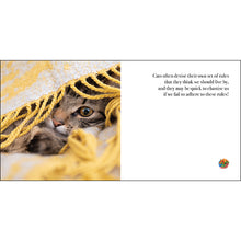 Load image into Gallery viewer, The Great Catsby