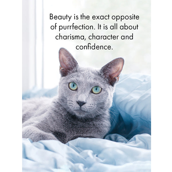 The Cats Whiskers Quotation Cards