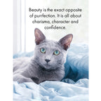 The Cats Whiskers Quotation Cards