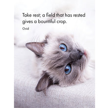 Load image into Gallery viewer, The Cats Whiskers Quotation Cards