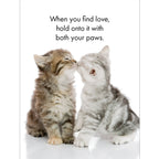 The Cats Whiskers Quotation Cards