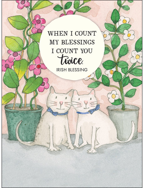 A little Box of Friendship Affirmation Cards
