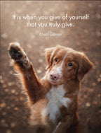 Every Dog has its day Quotation Cards