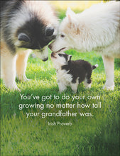 Load image into Gallery viewer, Every Dog has its day Quotation Cards