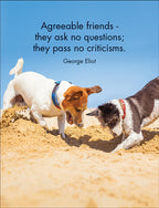 Every Dog has its day Quotation Cards