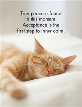 Load image into Gallery viewer, Wise Cats Quotation Cards